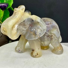 1.74LB Natural agate geode quartz crystal engrave Elephant skull healing gift de picture
