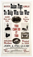 Original WWI US War Garden Poster - Raise pigs to help win the war, rare picture