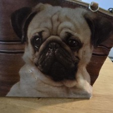 Pug Dog Purse picture