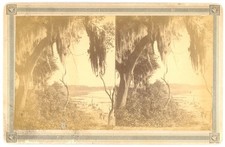 FLORIDA STEREOVIEW - Lake Weir - Edenwold on West Side - 1880s picture