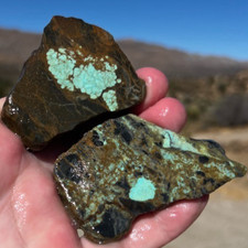 Authentic Black Jack Natural Turquoise Slabs Tonaopah NV 448cts picture