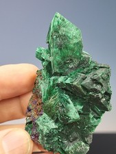 Malachite ps. Azurite (small cab) Tsumeb Mine, Namibia. Ex Critchley Coll. picture