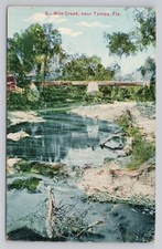 Six Mile Creek Near Tampa Florida Antique 1910s Postcard picture