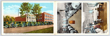 Chicago IL Illinois Lewis Laundries Vintage Bifold Advertising Postcard picture