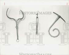 1991 Press Photo Ken Gray's Series of Zodiac Signs Created from Farm Tools picture