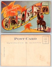 Canada Large Letter RCMP Bear Fishing Skiing Sled Dogs Hunting Postcard AI33 picture