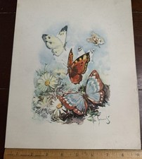 1973  Italian Line S.S.Leonardo DaVinci, Luncheon Menu Butterflies and Flowers picture