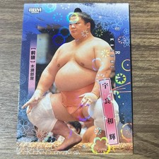 Sumo Card BBM Kazuki Ura Kira Parallel picture