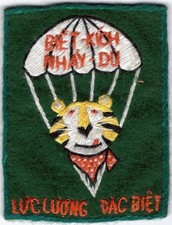 Vietnam War Special Forces LLDB Tony the Tiger Patch Original RARE picture