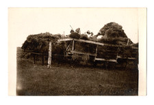Women & Children Horse Drawn Hay Cart Farming Real Photo Postcard RPPC Unposted picture