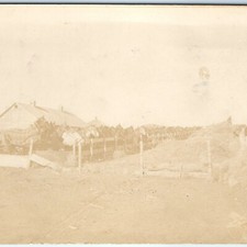 1911 Hartington, Neb. Large Group Horses RPPC Farm Real Photo Barn Postcard picture