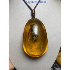 Amber Resin Insect Specimen Hand Play Piece Pendant Necklace Collectible Gift picture