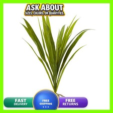 Nearly Natural 15in. Grass Artificial Plant Set of 6 picture