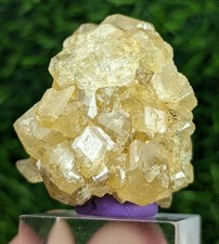 60-gm Very Rare Fluorescent Grossular Var Leuco garnet (AKA White Garnet) - Pk. picture