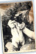 Photo USSR Soviet woman holding Siamese cat close-up portrait vintage picture