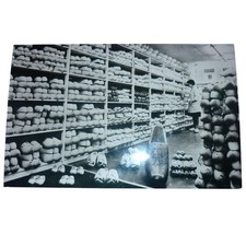 Vintage A.W.G. Otten Amsterdam Wooden Shoe Shop RPPC Postcard Holland Klompen picture