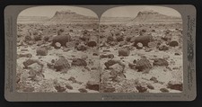 Petrified Forest Arizona 1903 Stereoview Fossilized Logs Desert Landscape picture