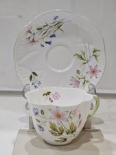 Shelley Wild Anemone 13977 Teacup And Saucer set Fine Bone China England picture