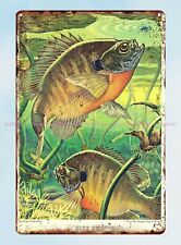 wall art posters Garcia Catalog Fish Illustrations blue gill metal tin sign picture