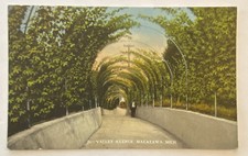 Vintage Divided Back Postcard, Valley Avenue, Macatawa, Michigan, unposted picture
