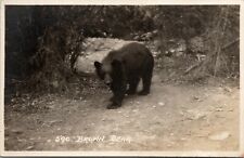 RPPC Brown Bear Along Canadian Pacific Railway Banff Canada Harmon Postcard U12 picture