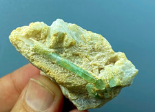 Natural Rare green  tourmaline Crystal specimen Afghanistan 225 carats picture