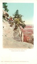 1902 Postcard Starting Down Grand View Trail, Grand Canyon, Detroit Photographic picture