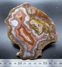 Laguna Agate Bird - 108 gram slice zoomorphic natural - Mexico roadrunner picture