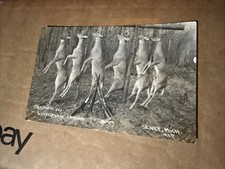 RPPC Cabins Seney, Michigan Deer & Rifles Postcard  picture