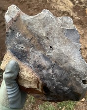 11.76 lb Blue Biggs Picture Jasper  Lapidary Rough from Biggs, Oregon picture