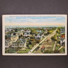 c.1910s Postcard Tampa Florida Trolley Streetcars on Hyde Park Avenue picture
