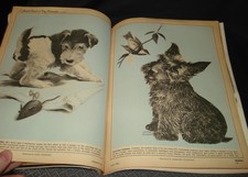 Woman’s Day June 1965 Magazine Scottish Terrier Poodle Dogs Illustrated Pictures picture