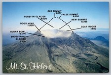 Mt St Helens Washington Summit Diagram Continental Postcard picture