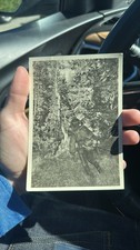 Mint Germany WW2 RPPC Postcard Waffen SS Nord Division “Angriff im Urwald” picture