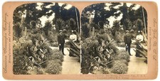CALIFORNIA STEREOVIEW - Monterey - Del Monte Hotel Gardens - RY Young c1902 picture