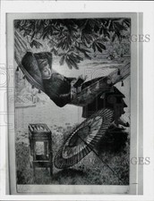 1979 Press Photo 