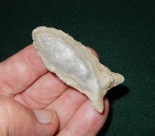 NICE OLD AUTHENTIC ILLINOIS FOUND TRANSITIONAL PALEO BEAVER LAKE POINT   N950 picture