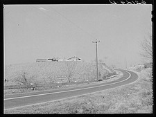 Photo:Roane County Tennessee 1930s Farm U.S. Highway 70 Road Scene picture