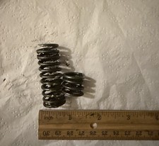 Hersheypark Sooper Dooper Looper Roller Coaster Anti Rollback Dog Springs Part picture
