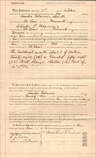 1902 MINNESOTA, ST. LOUIS COUNTY antique legal land purchase doc WARRANTY DEED picture