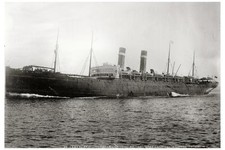 Photo:S.S. VADERLAND,1901,ship,vessel,boat,Bain News Service picture