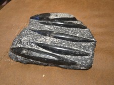 Large Polished Orthoceras Fossil Plate – Multiple Cephalopods – Morocco 8