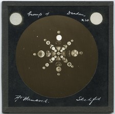 Antique Magic Lantern Slide by Hancock - Microscope Slide Photo Group of Diatoms picture