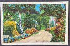 LANDSCAPE, Unknown Location WB Unposted. C242 picture