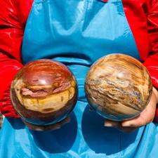 5.1LB 2pcs Natural wood fossil ball healing comes Healing from Madagascar picture