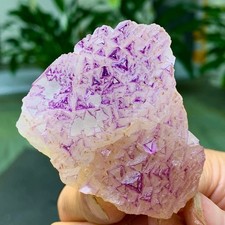 100G Natural fluorite purple edged cubic crystal mineral sample picture