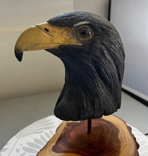 The Mighty Eagle Head Hand Carved & Painted Wooden Sculpture picture