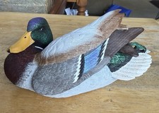 Mallard Duck, Nature’s Window. Artist- Roger Desjardins. Hand Signed 6 Inches picture