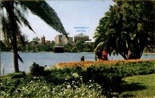 1950s Orlando FL Angebuilt Hotel Skyline Lake Eola Florida Chrome Postcard picture