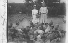 H94/ Hamilton Ohio RPPC Postcard c1910 Girl Farmers Chickens Feed 94 picture